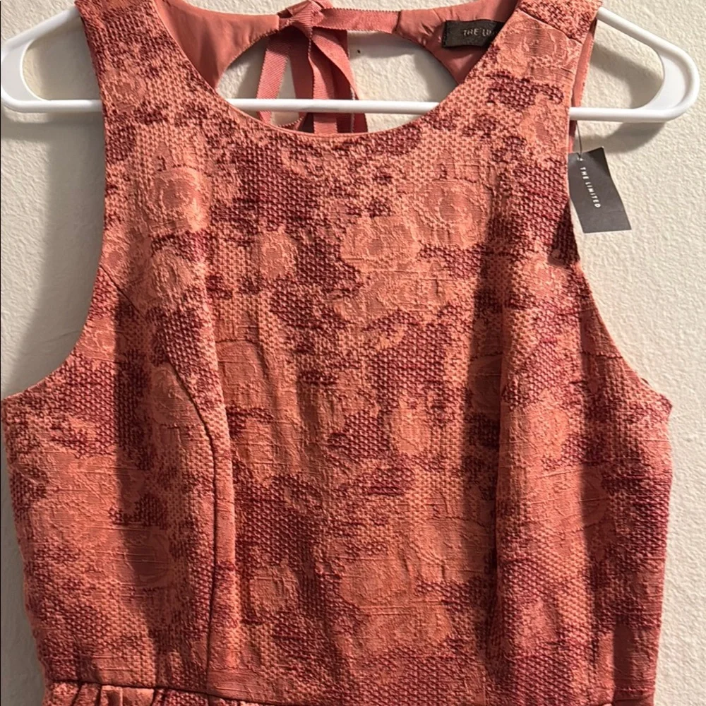 NWT The Limited mauve floral embossed Pink Dress sz 6 - Picture 2 of 5